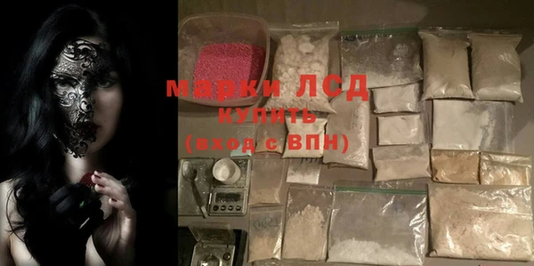 гидра Заполярный