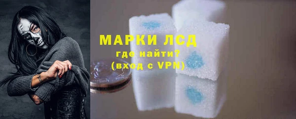 гидра Заполярный