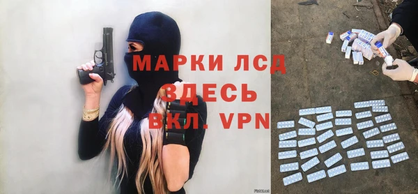 сатива Строитель