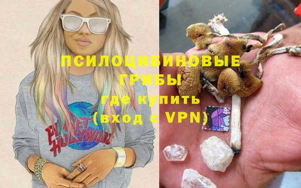 сатива Строитель