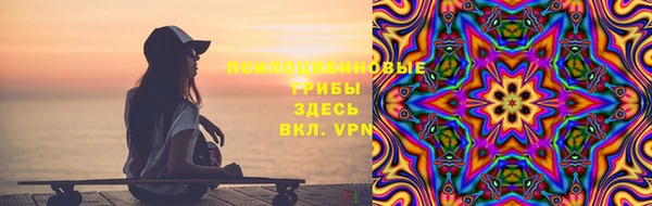 сатива Строитель
